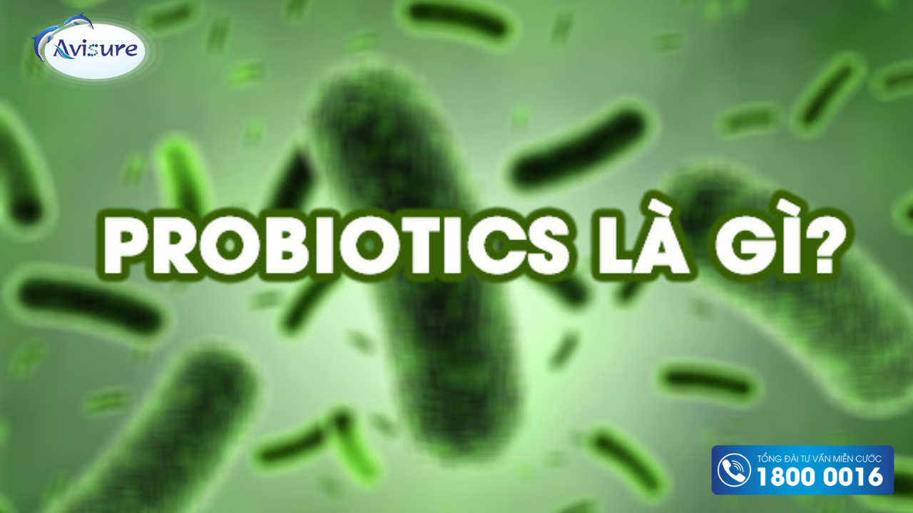 Men vi sinh probiotic là gì?